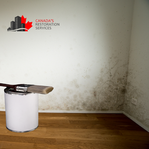removal companies Cambridge